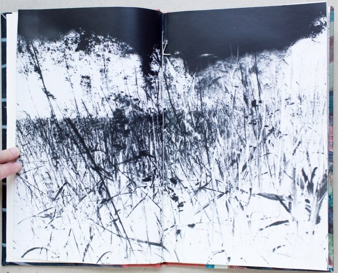 For more info, Contact William Johnson or Tate Shaw