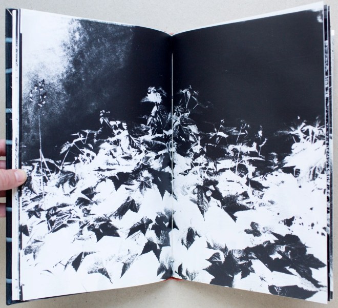 For more info, Contact William Johnson or Tate Shaw